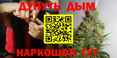 индика Партизанск